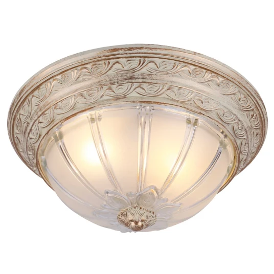 Фото Потолочный светильник Arte Lamp PIATTI A8014PL-2WA