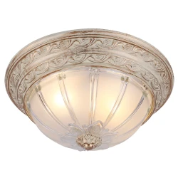 Фото Потолочный светильник Arte Lamp PIATTI A8014PL-2WA