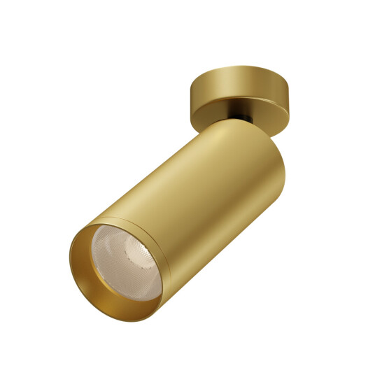 Фото Потолочный светильник Technical C017CW-01MG-N