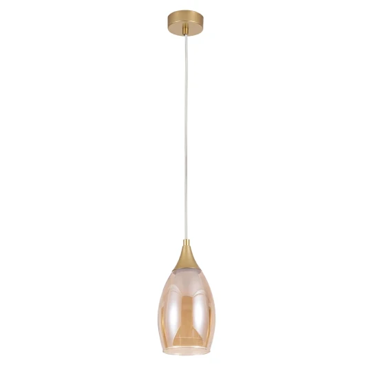 Фото Подвесной светильник Arte Lamp BARRY A7951SP-1GO