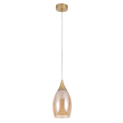 Фото Подвесной светильник Arte Lamp BARRY A7951SP-1GO