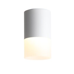 Фото ST100.502.10 Светильник потолочный Белый LED 1*10W 3000K 780Lm Ra>80 120° D78xH135 170-240V Накладные светильники
