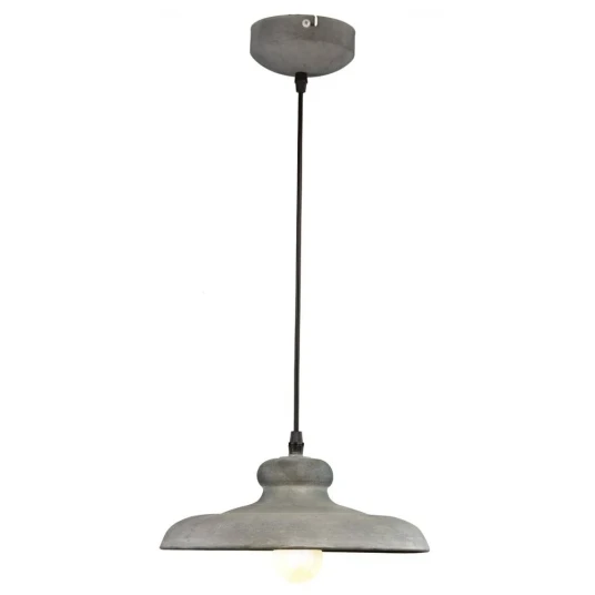 Фото Подвесной светильник Arte Lamp LOFT A5025SP-1BG