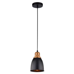 Фото Подвесной светильник Arte Lamp EURICA A4248SP-1BK