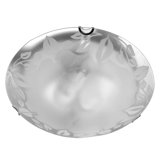 Фото Потолочный светильник Arte Lamp LEAVES A4020PL-2CC