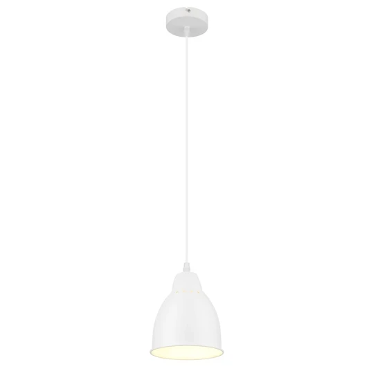 Фото Подвесной светильник Arte Lamp BRACCIO A2054SP-1WH