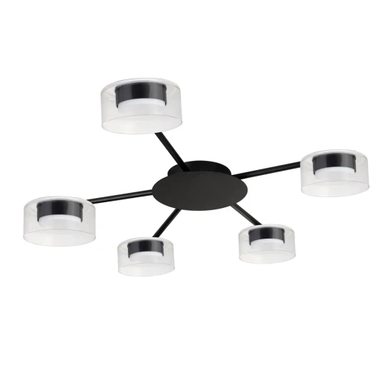 Фото Потолочная люстра Arte Lamp ALIUS A8042PL-5BK