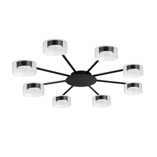 Фото Потолочная люстра Arte Lamp ALIUS A8042PL-8BK