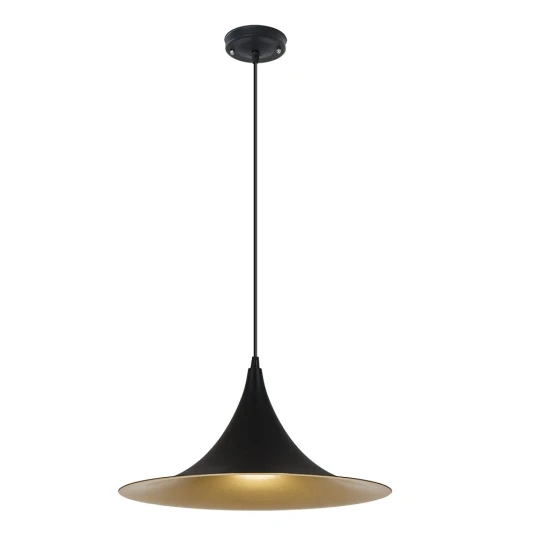 Фото Подвесной светильник Arte Lamp CARMEL A7080SP-1BK