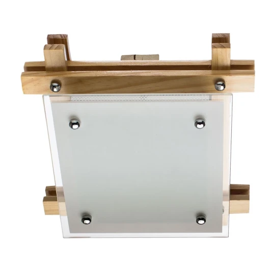 Фото Потолочный светильник Arte Lamp ARCHIMEDE A6460PL-1BR