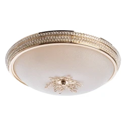 Фото Потолочный светильник Arte Lamp VASSOIO A9205PL-5GO