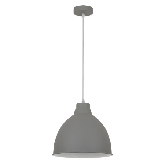 Фото Подвесной светильник Arte Lamp BRACCIO A2055SP-1GY