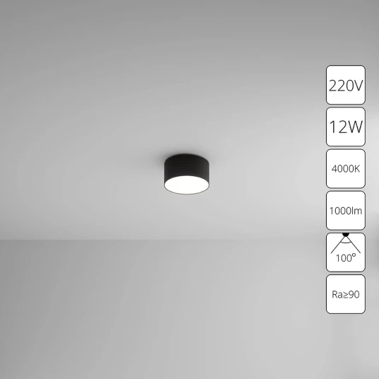 Фото Потолочный светильник Arte Lamp FADO A6612PL-1BK