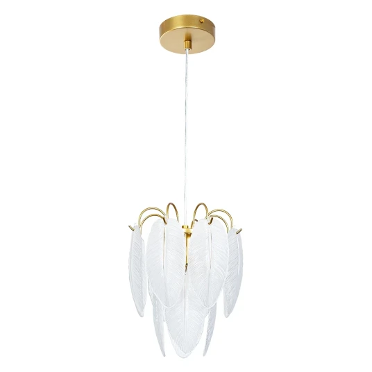 Фото Подвесной светильник Arte Lamp EVIE A4052SP-1SG