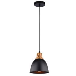 Фото Подвесной светильник Arte Lamp EURICA A4245SP-1BK