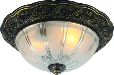 Фото Потолочный светильник Arte Lamp PIATTI A8003PL-2AB