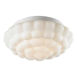 Фото Потолочный светильник Arte Lamp AQUA A5130PL-2WH