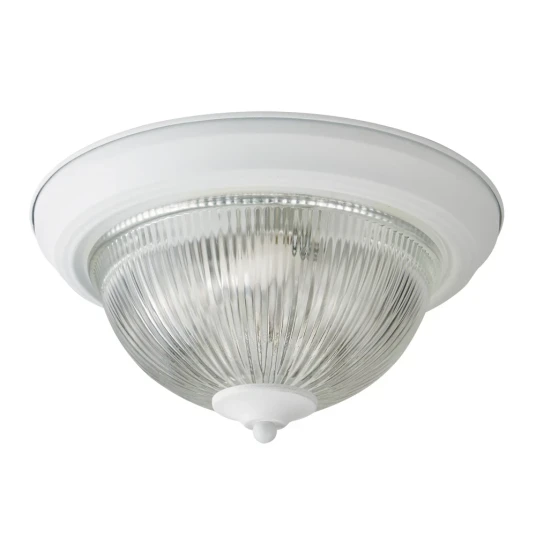 Фото Потолочный светильник Arte Lamp AQUA A9370PL-2WH