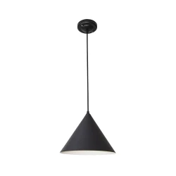 Фото Подвесной светильник Arte Lamp LARK A7103SP-1BK