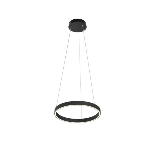 Фото Подвесной светильник Maytoni MOD058PL-L22BK