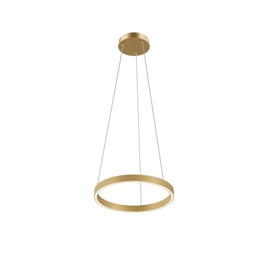 Фото Подвесной светильник Maytoni MOD058PL-L22BSK