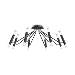 Фото Потолочный светильник Maytoni MOD620CL-16B