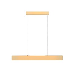 Фото Подвесной светильник Technical P010PL-L23G3K