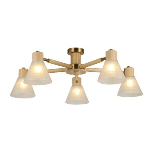 Фото A4096PL-5BR