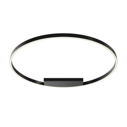 Фото Потолочный светильник Maytoni MOD058CL-L65BK