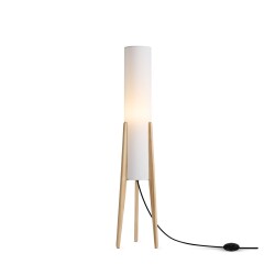 Фото Напольный светильник (торшер) Freya FR5543FL-01T