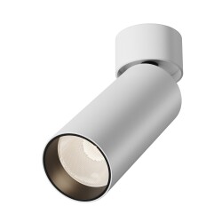 Фото Потолочный светильник Technical C055CL-L12W3K-SS-W