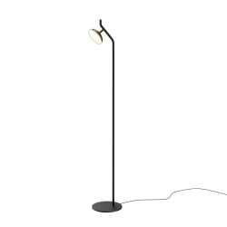 Фото Напольный светильник (торшер) Maytoni MOD451FL-L8B3K