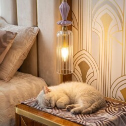 Фото CL254010 FERNET Люстра