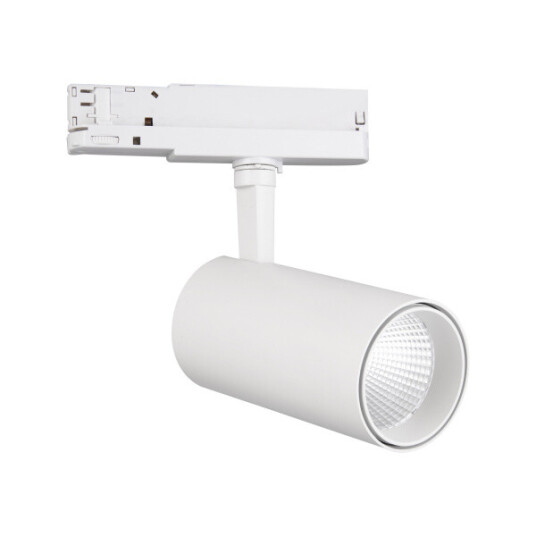 Фото 7203 Спот FUJI