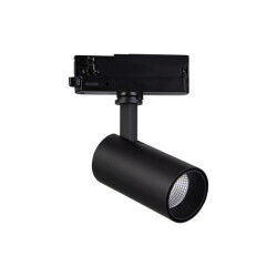 Фото 7213 Спот FUJI