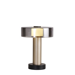 Фото 8535 Настольная лампа GIN