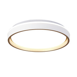 Фото 9028 Потолочный светильник VERONA