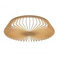 Фото 7967 Потолочный светильник HIMALAYA