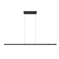 Фото 8954 Подвесной светильник LINEAL