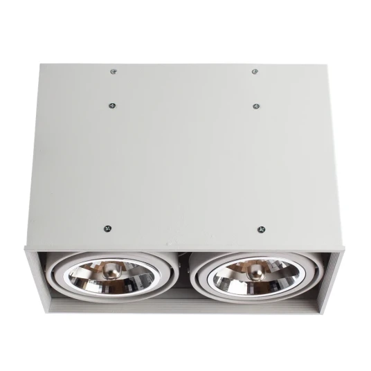 Фото Точечный накладной светильник Arte Lamp CARDANI GRANDE A5936PL-2WH