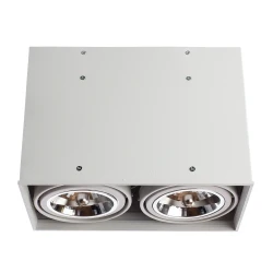 Фото Точечный накладной светильник Arte Lamp CARDANI GRANDE A5936PL-2WH