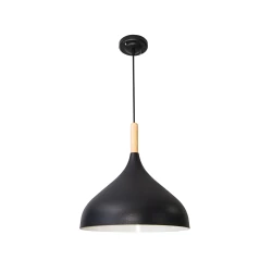 Фото Подвесной светильник Arte Lamp KAYLA A7101SP-1BK