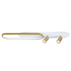 Фото Потолочный светильник Arte Lamp LUCAS A2600PL-32GO