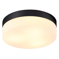 Фото Потолочный светильник Arte Lamp AQUA-TABLET A6047PL-3BK