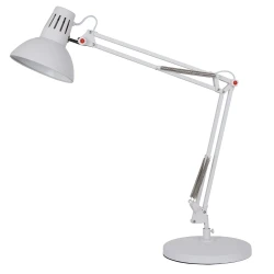 Фото Офисная настольная лампа Arte Lamp RAGNO A2043LT-1WH