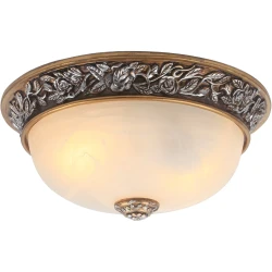Фото Потолочный светильник Arte Lamp TORTA A7141PL-2SB