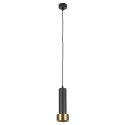 Фото Подвесной светильник Arte Lamp RAN A3147SP-1BK