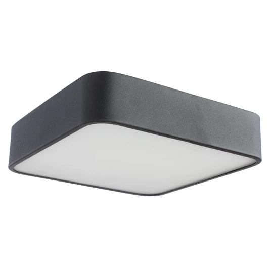 Фото Потолочный светильник Arte Lamp COSMOPOLITAN A7210PL-2BK