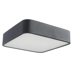 Фото Потолочный светильник Arte Lamp COSMOPOLITAN A7210PL-2BK