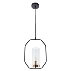 Фото Подвесной светильник Arte Lamp CELAENO A7004SP-1BK